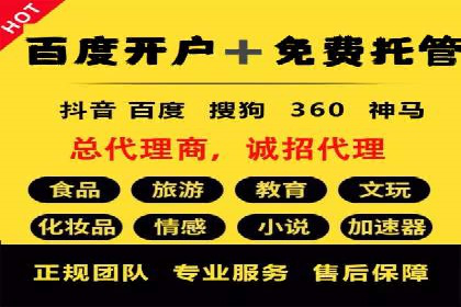 SEM竞价实战：成功案例解析